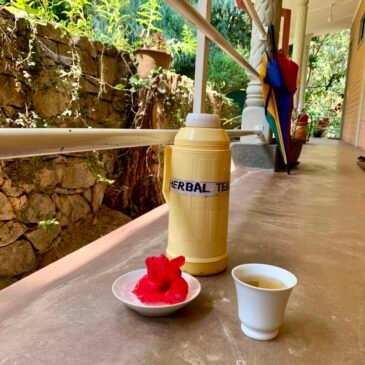 Kanne Kräutertee in Sri Lanka Kanne Kräutertee in Sri Lanka