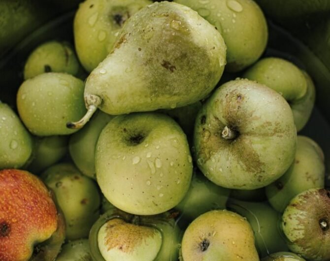 Äpfel und Birnen in einer Schüssel mit Wasser Obst mit Natron waschen