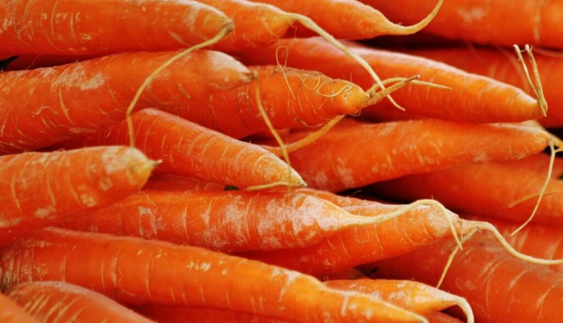 Mohrrüben für die Morosche Möhrensuppe